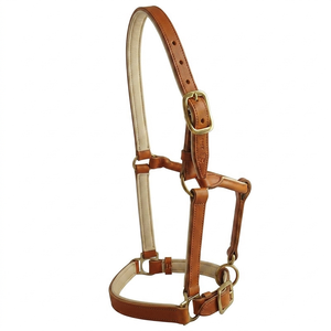 Cabestro de cuero genuino para caballo, negro, marrón, tostado, de doble capa, grueso, con herrajes de latón, tamaños personalizados - Product Image 3