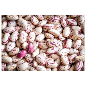 Frijoles Rojos Oscuros, Marrones, Tipo Sugar Beans o Pinto Beans, Frijoles Blancos Tipo Sugar Beans de Calidad - Product Image 4
