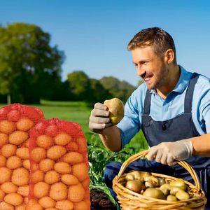 ถุงตาข่ายใส่หัวหอมถุงเก็บผักแบบใช้ซ้ำได้สำหรับกุ้งน้ำจืดทำจากมันฝรั่งหอมใหญ่ - Product Image 2