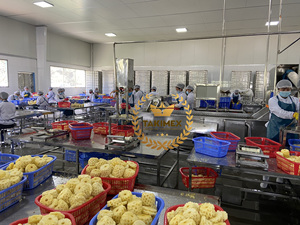 Más vendidos Sweet Queen Pineapple Frozen IQF de Vietnam Conservación del agua Envasado al vacío Envasado a granel Takimex 10kg - Product Image 6