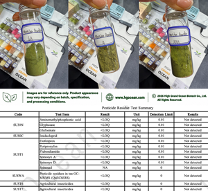 HGO Factory Direct Supply of Pure Natural <b>Matcha</b> Powder (Food Grade) Specification 6A Herbal powder (Fruit OR Vegetable Powder) - Product Image 2