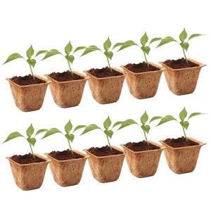 MOST WANTED Pot suspendu minimaliste en fibre de coco 2026 pour la culture de fleurs, la décoration intérieure, respirant et régulateur d'humidité - Product Image 4