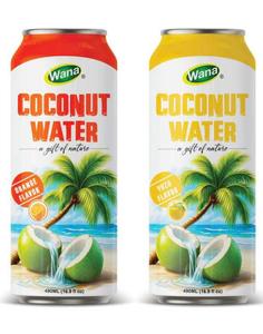 Agua de Coco Natural de Alta Calidad de 500 ml, con Puré de Vegetales, Fabricación de Marca Privada en Vietnam - Product Image 1