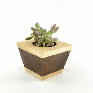 Maceta Moderna Hecha a Mano de Madera para Suculentas, Cuadrada, de Dos Tonos, para Decoración de Escritorio, Oficina y Jardinería Interior - Product Image 2