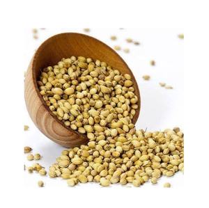 Vente en gros d'usine, graines de coriandre de haute qualité, 100% naturelles, goût intense, riches en nutriments - Product Image 4