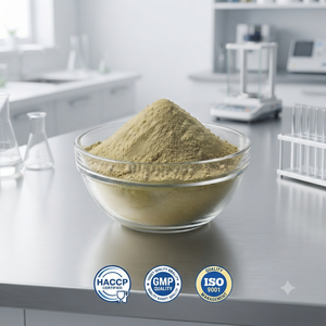 Extracto Natural de Punarnava en Polvo, Fabricante de Extractos Herbales a Granel, Proveedor, Mayorista, Exportador - Product Image 4