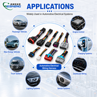 Arnés de Cables Automotrices de Alta Densidad, Conjunto de Cables Multicolor Personalizado para el Sistema Eléctrico del Vehículo