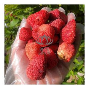 Fresas Liofilizadas de Alta Calidad 2026 para Mercados Gourmet, Fruta Tropical Pura, Limpia y Segura, Origen de Frutas de Alta Calidad - Product Image 1