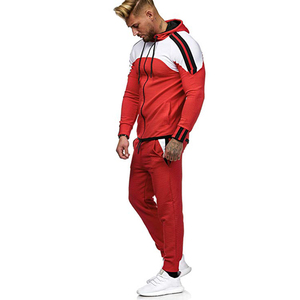 Conjunto Deportivo Ligero 2 en 1 para Hombre, Sudadera con Capucha y Cremallera de Manga Larga con Bloques de Color, Bolsillos Laterales, Transpirable, Deportivo, para Verano - Product Image 5