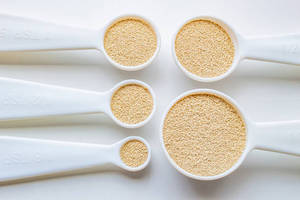 Isolat de protéines de levure pure de qualité supérieure, ingrédient végétalien, poudre haute pureté pour les formulations alimentaires modernes riches en protéines - Product Image 6