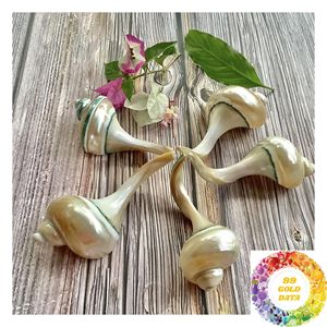 Reposapalillos de Concha de Nácar de 10-11 cm, Accesorio Artesanal de Concha Marina para Mesa, Ideal para Restaurantes Japoneses y Cenas en Casa - Product Image 1
