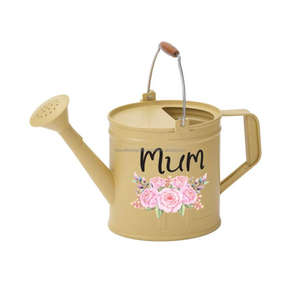<b>Indoor</b> Outdoor Flower Plants Water <b>Can</b> Sheet Iron Customized Handpainted Mum Kitchenware Plants <b>Watering</b> <b>Can</b> for Garden Decors - Product Image 1