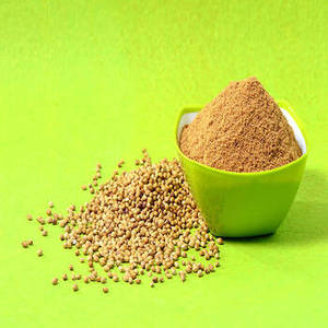 Polvo de Cilantro Fresco Indio de Primera Calidad, 100% Puro, Hecho con Semillas Cuidadosamente Seleccionadas para Compradores Internacionales al por Mayor - Product Image 6