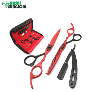 Fournisseur d'instruments médicaux en marque blanche, kit de ciseaux de coiffure et de coupe de cheveux avec rasoir droit - Product Image 6