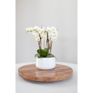 จานหมุนไม้ทำมือลายดอกไม้พร้อมชามกลางลายพืชวินเทจ ดีไซน์เพ้นท์มือ - Product Image 1