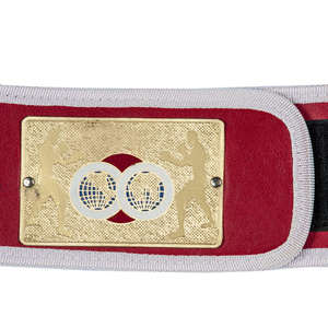 Customized Boxing & Wrestling Championship Leather Waterproof Belt Custom Logo-Best Quality Top Seller Elegant Sports Design - Product Image 3