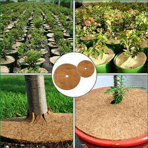 Anneaux de paillis en fibre de coco en gros, disques de coco de 24 pouces pour couvrir les arbres, tapis de paillis pour plantes d'intérieur et d'extérieur - Product Image 3