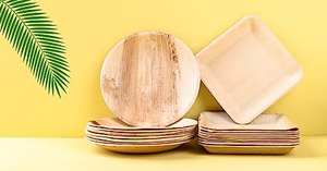 Placa desechable ecológica de 7 pulgadas de hoja de palma Areca placa redonda poco profunda biodegradable para acampar ecológico - Product Image 4