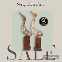 Corne de chèvre naturelle décorative pour la maison, le jardin et l'hôtel, paire de cornes de chèvre et style de couleur naturelle, utilisation en cadeau