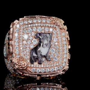 Anillo de Compromiso y Boda Unisex de Plata 925 con Diamantes VVS Estilo Hip Hop, Marca de Moda Europea y Americana, Venta al por Mayor - Product Image 1