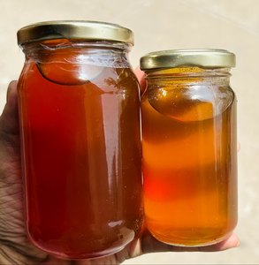 Miel de Eucalipto Orgánica Pura y Natural, Miel Cruda Espesa en Botella, Refuerza el Sistema Inmunitario, Combate las Bacterias, Exportación a Granel de la India, Precio Bajo - Product Image 1