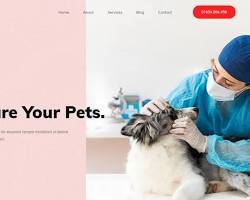 Plataforma de Cuidado de Mascotas para Reserva de Veterinarios, Peluquería, Cuidado y Paseo de Mascotas, Seguimiento de Salud, Citas y Gestión de Mascotas con Soporte para MAC - Product Image 2