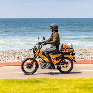 Honda Trail 125 2026 - Product Image 6