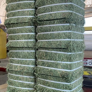 Heno de Alfalfa para Nutrición Ganadera con Hojas Verdes Naturales, Rico en Fibra y Buena Palatabilidad para Uso Diario - Product Image 5