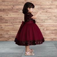 Robe de princesse de luxe pour enfants, en velours brodé de sequins bordeaux, respirante, en tulle, pour filles, idéale pour mariage, anniversaire, tenue de soirée formelle (ODM)