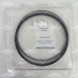 Kits de réparation Emerson Fisher RHTSX000192 8 pouces ORF, Anneau anti-extension, Anneau d'étanchéité N° de pièce 480153577 - Product Image 1