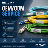 Câble à fibres optiques intérieur HEADWAY FCS-DSLN-3M002-AQ 2 fibres OM4 LSZH PVC pour centre de données et câblage de réseau local (LAN)