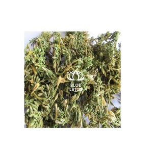 TENDANCES ACTUELLES : Pour des routines de préparation de thé chaud et l'amélioration des profils de goût des bases de soupes amères – Sélection de fleurs de papaye séchées pures - Product Image 1