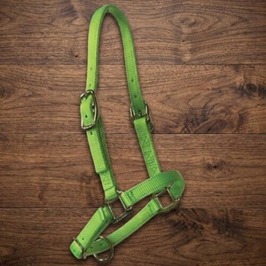 Cabestro para Caballo de Nylon de Triple Capa y Doble Costura, Duradero, en Varios Colores y Tamaños, con Herrajes de Níquel, Superventas - Product Image 2
