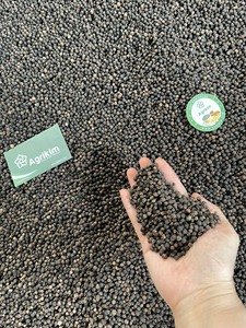 Poivre noir de haute qualité certifié ISO, pureté 100%, récolte la plus récente, graines de poivre noir, 580 g/L, granulés séchés, livraison rapide, transformation brute du Vietnam - Product Image 6