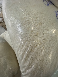 Coco Deshidratado de Ben Tre, Vietnam, Dulce, de Primera Calidad, Bajo en Grasa - Product Image 3