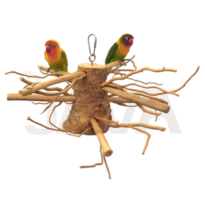 ที่นั่งนกคุณภาพสูง ทำจากรากไผ่ แข็งแรง ทนทาน เป็นมิตรกับสิ่งแวดล้อม จากอินโดนีเซีย ขนาด S - Product Image 3