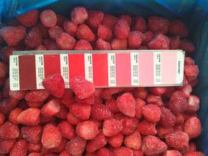 Oferta Especial: Fresas Congeladas IQF Naturales, Suministro Directo de Fábrica al por Mayor para Procesamiento de Alimentos, Smoothies, Helados y Mermeladas - Sra. Grace - Product Image 2