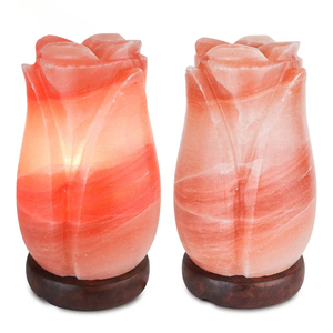 Lámpara de Sal Rosa del Himalaya Personalizada de Alta Calidad, Material Orgánico en Forma de Rosa, Decoración para el Hogar, Animal Tallado - Product Image 2