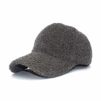 Casquette de baseball personnalisable en polaire Teddy avec texture Sherpa douce, visière incurvée, chapeau d'hiver décontracté, logo personnalisé, vente en gros de couvre-chefs