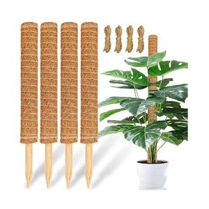 Poteau en fibre de coco le plus vendu pour l'extension verticale créative de la flore en serre et l'approvisionnement exquis en humidité pour les racines aériennes - Product Image 1