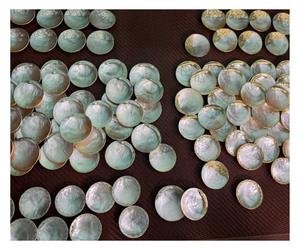 จานมุกทรงกลมทำมือลายปลาสำหรับตกแต่งบ้าน - Product Image 6