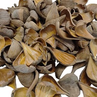 Capsules de graines végétales naturelles de haute qualité pour pot-pourri, arrangements floraux, décoration d'aquarium, etc. – Modèle Pradip Pods