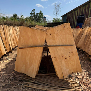 Placage de bois de caoutchouc du Vietnam 100% naturel, coupé rotativement, écologique, durable, séché au soleil/au four, pour la fabrication de contreplaqué - Product Image 1