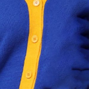 Cárdigan Personalizado con Logotipos de Zeta Phi Beta en Azul y Amarillo, Cuello en V, Manga Larga, Cierre de Botones, Color Sólido, Tejido de Punto, Ropa de Otoño - Product Image 3