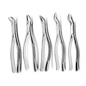 Ensemble de forceps d'extraction dentaire en acier inoxydable, poignée moletée manuelle, instruments chirurgicaux de classe I - Product Image 2