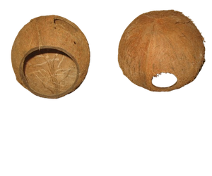 Escondite de Cáscara de Coco de Tres Cuartos, Ideal para Terrarios, Lagartos, Hámsteres, Anfibios, Serpientes, Ranas, Escorpiones, Hecho en Sri Lanka - Product Image 4
