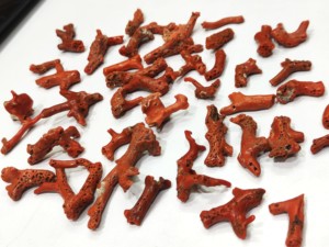 Nuggets de Coral Natural Italiano en Forma de Rama, de 2 a 3 Pulgadas, Rojos, de Forma Libre, Piezas Grandes y Gruesas - Product Image 6