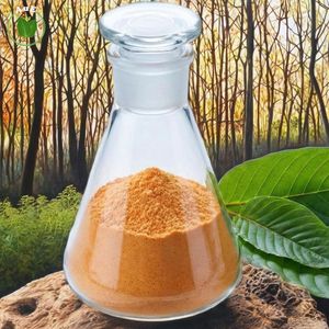 สินค้าขายดี ผงสกัดสมุนไพร 7-OH MIT ออร์แกนิคบริสุทธิ์สูง 80% สารสกัดจากพืช บรรจุภัณฑ์สุญญากาศ ปลูกแบบธรรมชาติ ของแท้จากประเทศไทย - Product Image 5