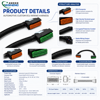 Kabel Harness ECU Kustom untuk Otomotif, Mesin Pertanian, Perakitan Kabel Tugas Berat OEM ODM, Selubung PVC, Inti Tembaga PBT, IP68