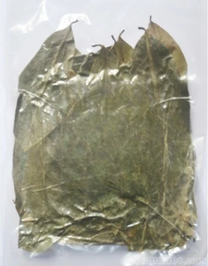 Hojas de guanábana secas de Vietnam, calidad de exportación, hojas de graviola naturales, aptas para uso vegano, materiales de hoja seleccionados y limpios. - Product Image 3